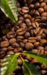 قهوه عربیکا برزیل