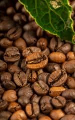 قهوه عربیکا برزیل