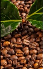 قهوه عربیکا برزیل