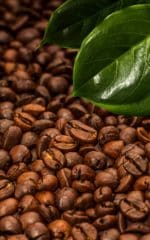 قهوه برزیل عربیکا ریو