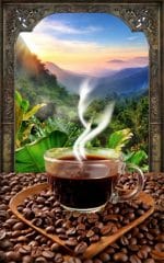 قهوه جاوا اندونزی