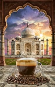 قهوه پی بی روبوستا هند