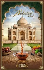 قهوه پی بی روبوستا