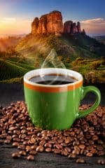 قهوه اتیوپی سیدامو - تصویر 5