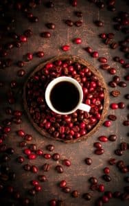 قهوه چری روبوستا هند